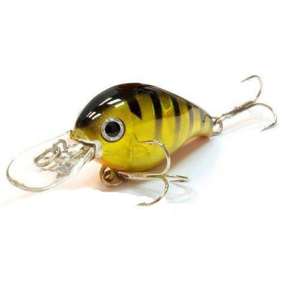 W9LtSma5kDbM_h670iMphC8_MD_enl