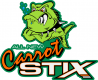CARROT Stix
