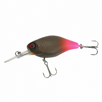 2Q1UxYRuSQOBOhj9CFwSxPUTHz_enl